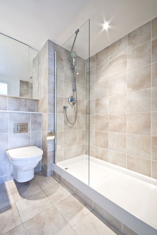 Contemporary Shower Interior
